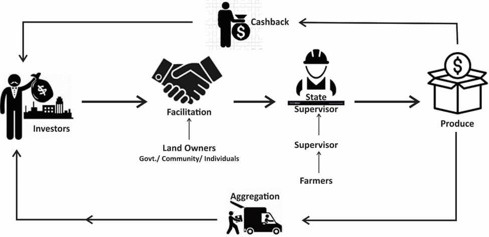 Farm Lord Cycle